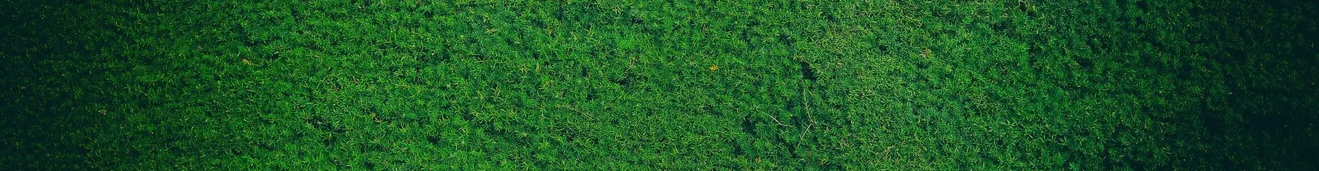 Blog Header